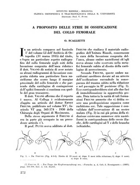 La chirurgia degli organi di movimento