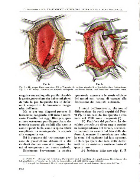 La chirurgia degli organi di movimento