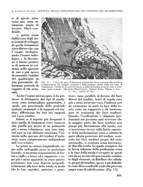 La chirurgia degli organi di movimento