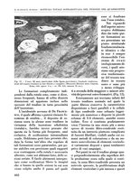 giornale/RML0015994/1935-1936/unico/00000428