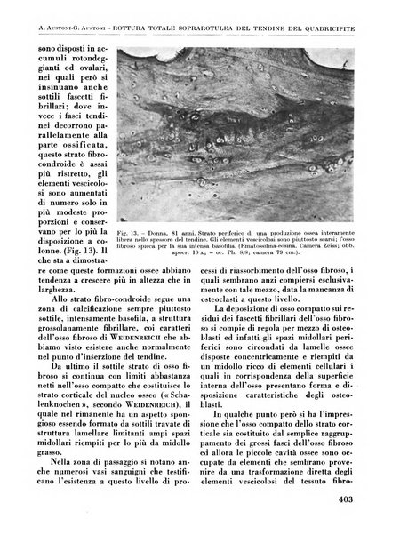 La chirurgia degli organi di movimento