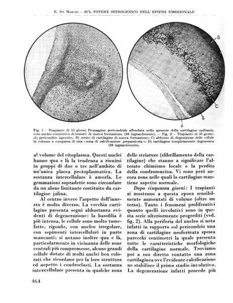 La chirurgia degli organi di movimento