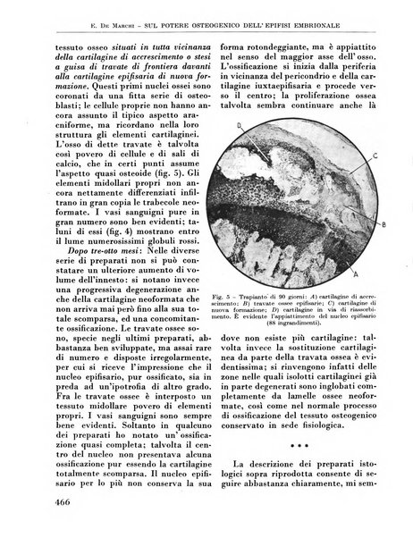 La chirurgia degli organi di movimento