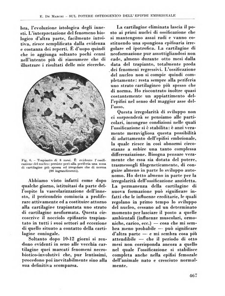 La chirurgia degli organi di movimento