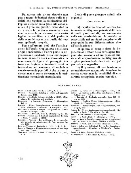 La chirurgia degli organi di movimento