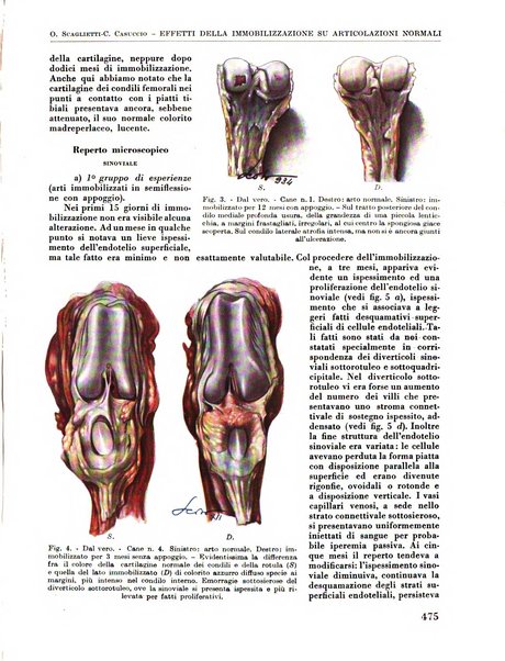 La chirurgia degli organi di movimento