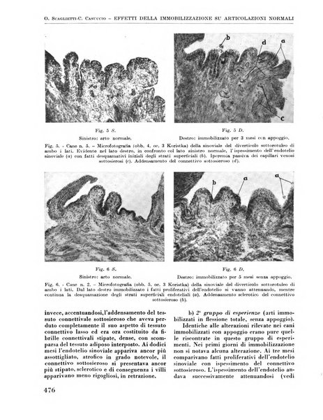 La chirurgia degli organi di movimento