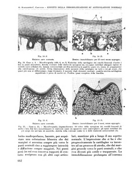 La chirurgia degli organi di movimento