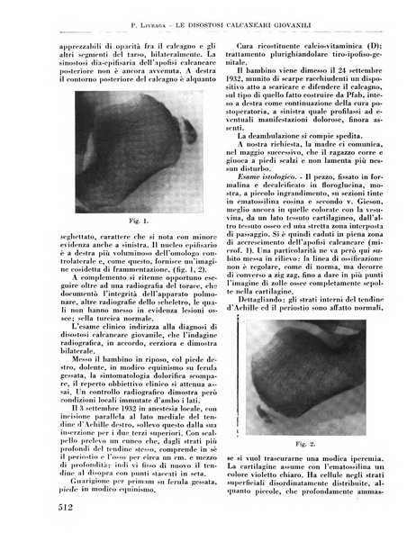 La chirurgia degli organi di movimento