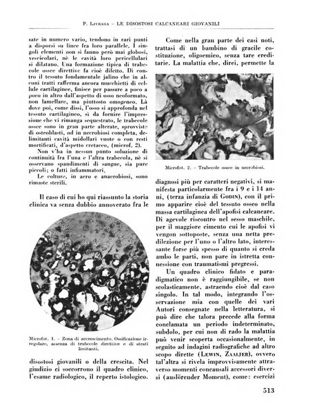 La chirurgia degli organi di movimento