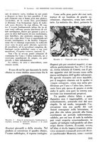 giornale/RML0015994/1935-1936/unico/00000543