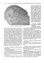 giornale/RML0015994/1936/unico/00000016