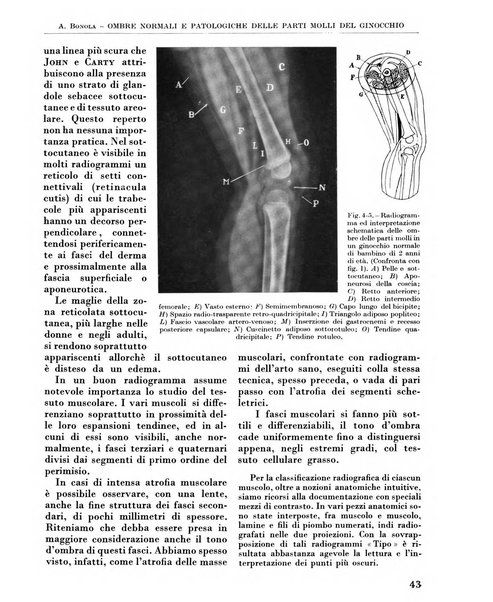 La chirurgia degli organi di movimento