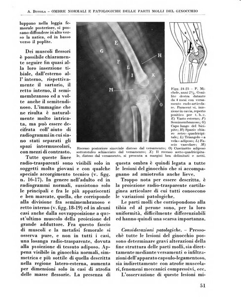 La chirurgia degli organi di movimento