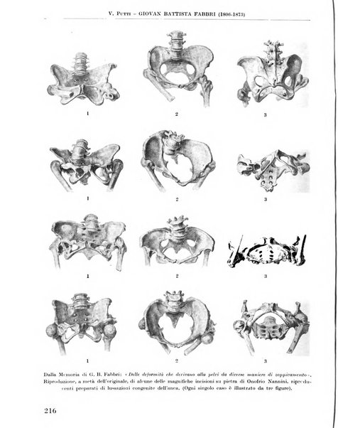 La chirurgia degli organi di movimento