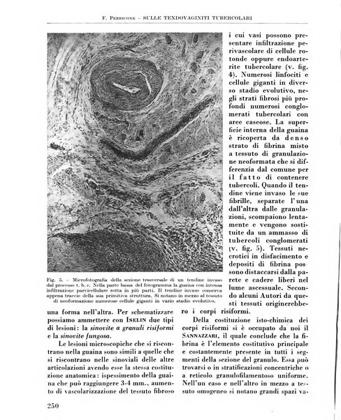 La chirurgia degli organi di movimento