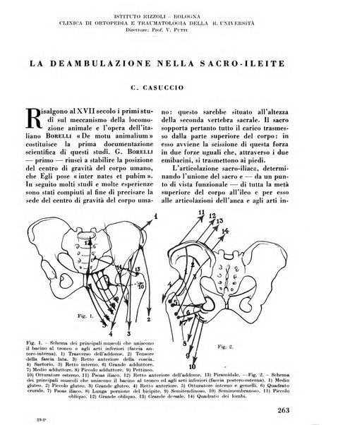 La chirurgia degli organi di movimento