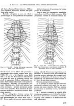 giornale/RML0015994/1937/unico/00000303