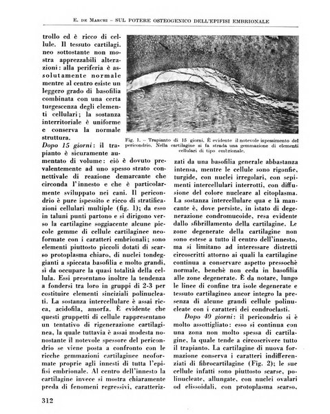 La chirurgia degli organi di movimento