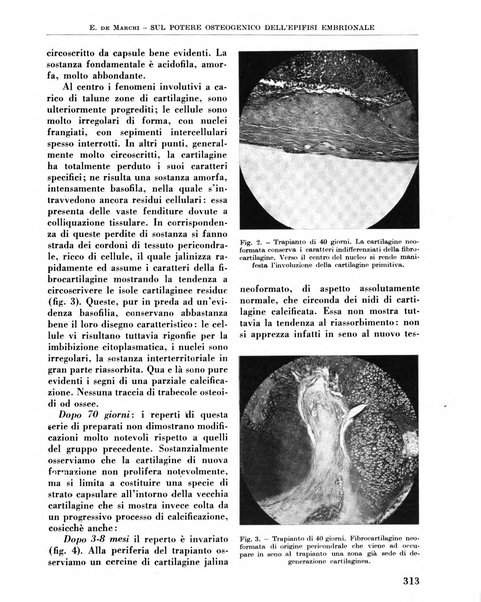 La chirurgia degli organi di movimento