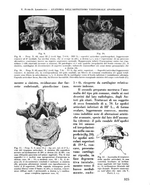 La chirurgia degli organi di movimento