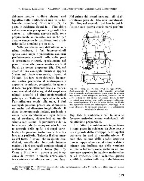 La chirurgia degli organi di movimento