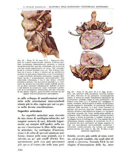 La chirurgia degli organi di movimento