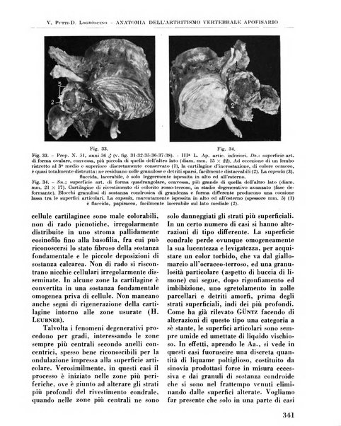 La chirurgia degli organi di movimento