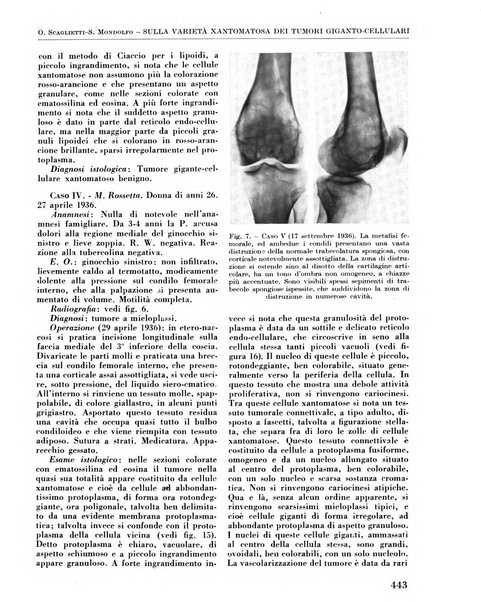 La chirurgia degli organi di movimento