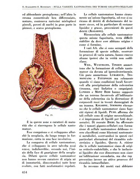 La chirurgia degli organi di movimento