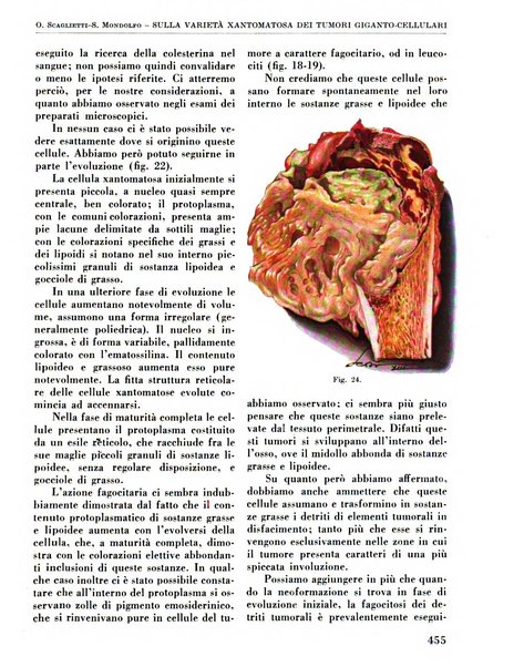 La chirurgia degli organi di movimento