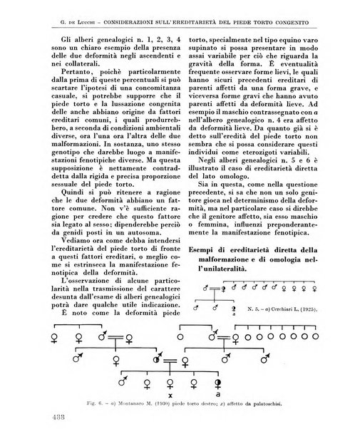 La chirurgia degli organi di movimento