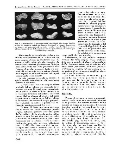 La chirurgia degli organi di movimento