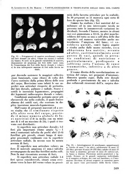 La chirurgia degli organi di movimento