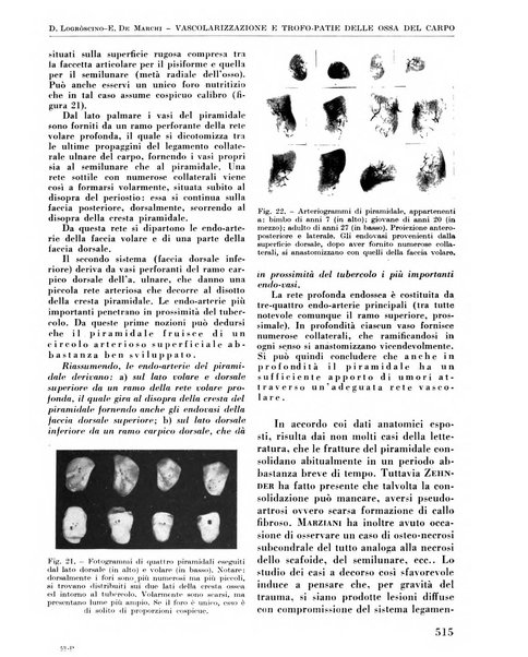 La chirurgia degli organi di movimento