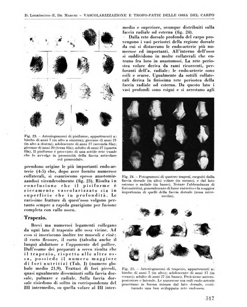 La chirurgia degli organi di movimento