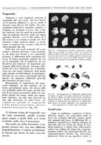 giornale/RML0015994/1937/unico/00000557