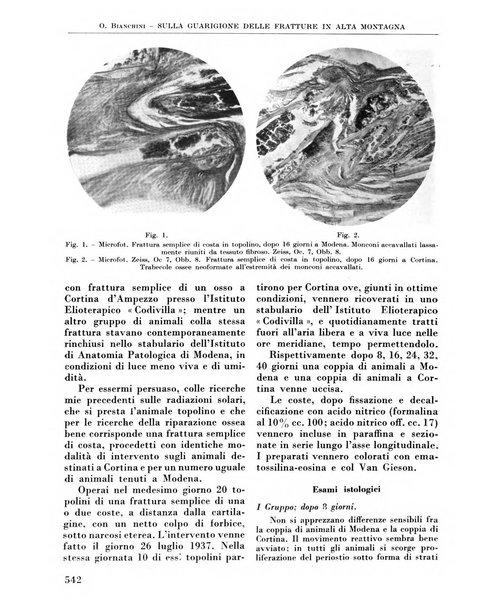 La chirurgia degli organi di movimento