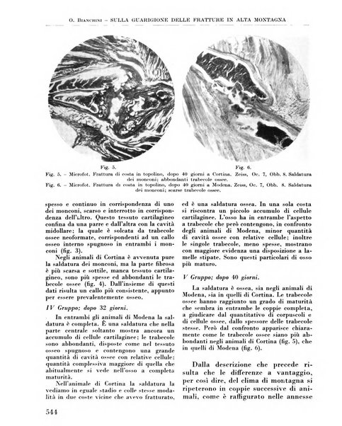 La chirurgia degli organi di movimento