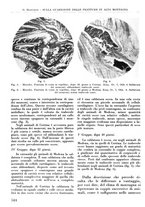 giornale/RML0015994/1937/unico/00000582