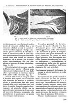 giornale/RML0015994/1937/unico/00000627