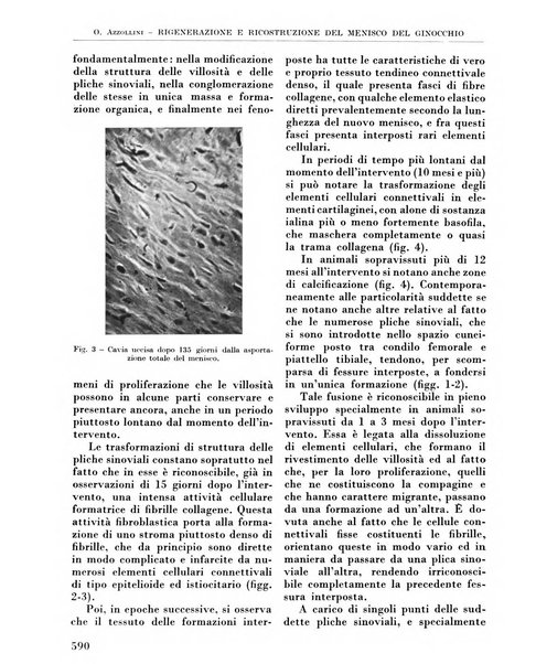 La chirurgia degli organi di movimento