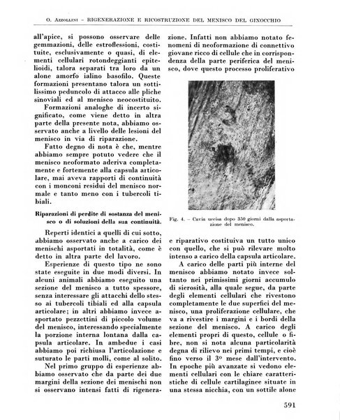 La chirurgia degli organi di movimento