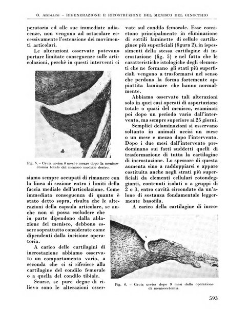 La chirurgia degli organi di movimento