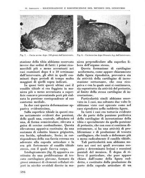 La chirurgia degli organi di movimento