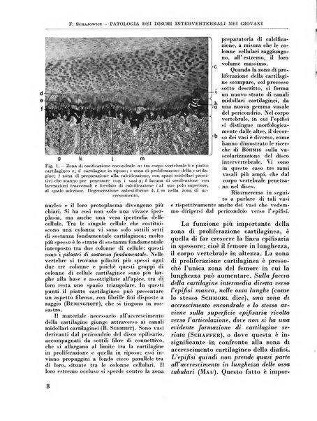 La chirurgia degli organi di movimento