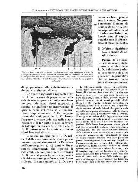 La chirurgia degli organi di movimento