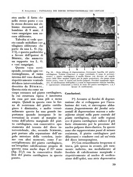 La chirurgia degli organi di movimento