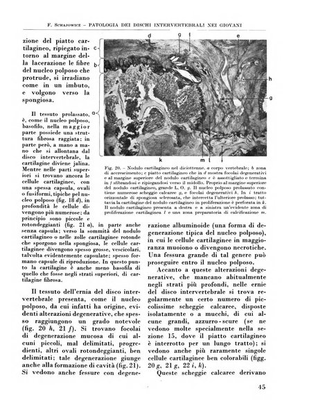 La chirurgia degli organi di movimento