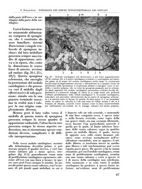 La chirurgia degli organi di movimento